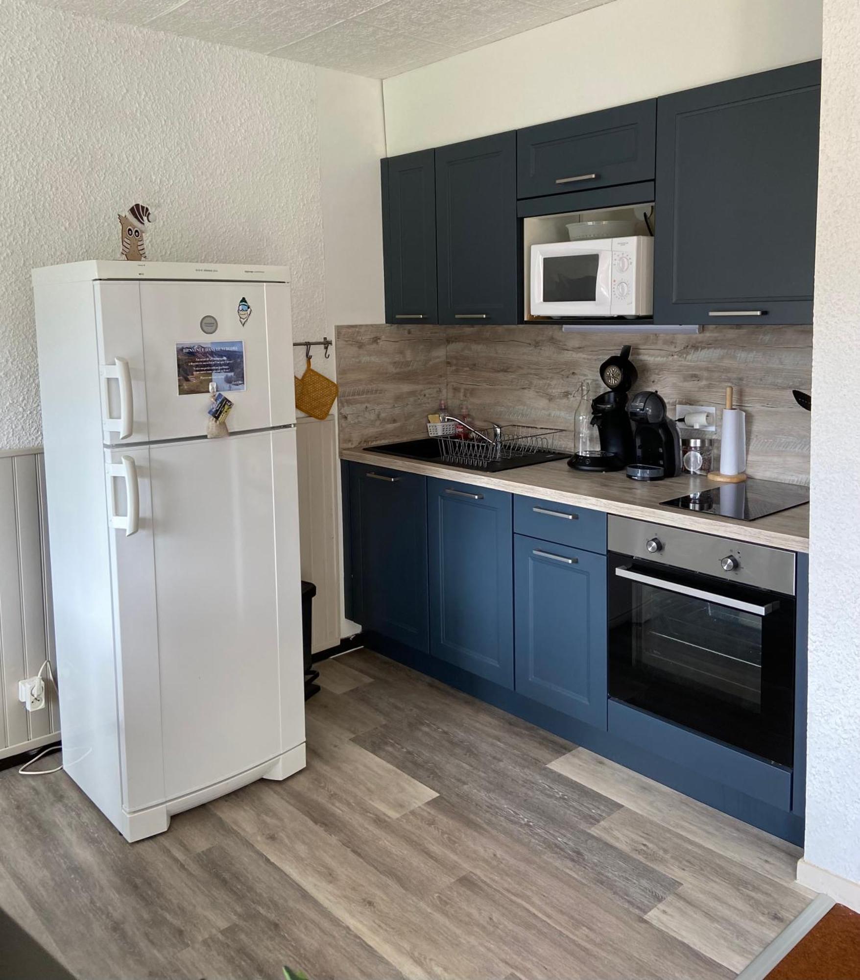 Appartement 50M2 Vue Imprenable Avec Garage Draps Et Serviettes Compris Виллар-де-Ланс Экстерьер фото